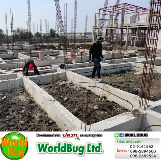 วางท่อกําจัดปลวก ราคาเท่าไหร่ วางท่อกําจัดปลวก ราคาเท่าไหร่  รับงานติดตั้งท่อปลวก 