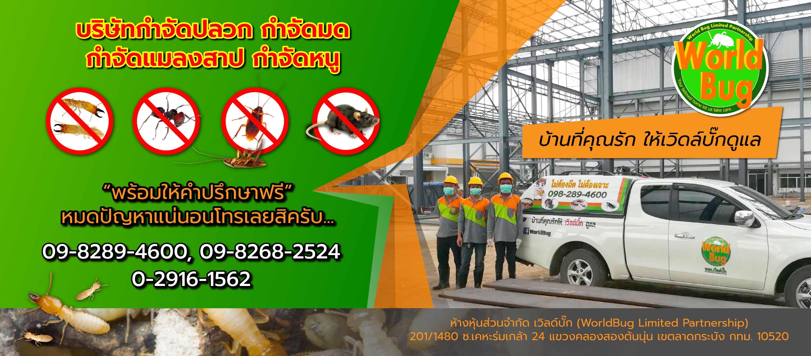 เวิล์ดบั๊ก บริษัทกำจัดปลวกฉีดปลวกราคาถูก