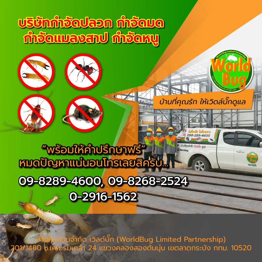 บริษัทกำจัดปลวก ฉีดปลวกราคาถูก เวิล์ดบั๊ก