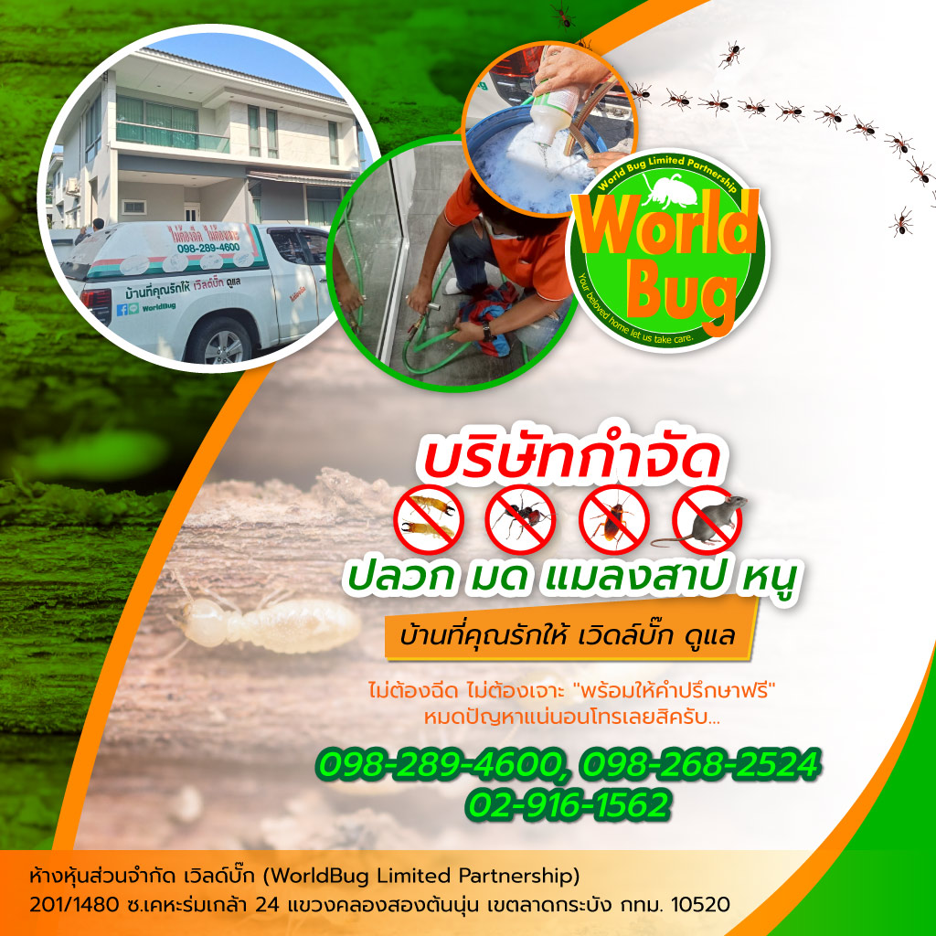 เวิล์ดบั๊ก บริษัทกำจัดปลวกราคาถูก